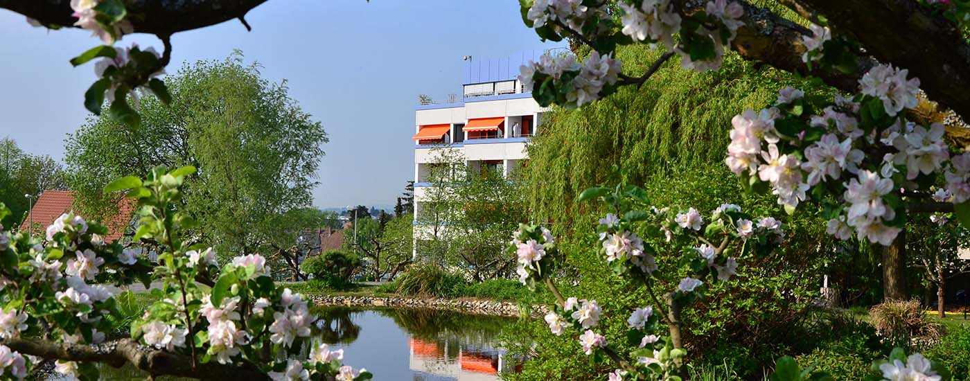 Außenansicht des Altkönig-Stift mit Wasser und Grünanlage