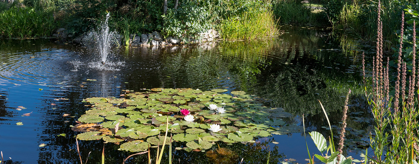 Parkanlage und Lage des Altkönig-Stift